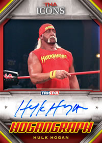 Hulk Hogan