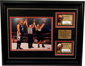 LAX Framed Autographed Piece with Trading Cards