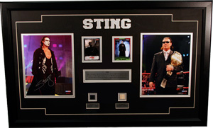 Sting Framed Signature and Game Used World Champion Collection