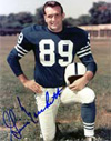 Gino Marchetti